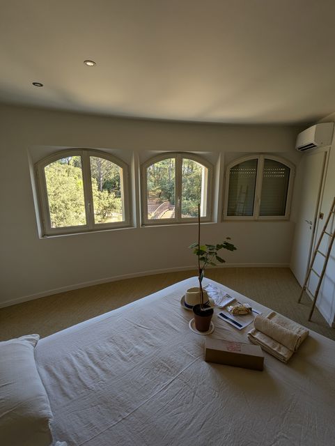 Terrains Royal Fodera 4